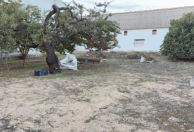 Cartaya 701&nbsp;m² 