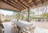 Casa de camp amb terreny en venda a la España, Elx, ref.: TR398239 foto