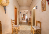 Casa de camp amb terreny en venda a la España, Elx, ref.: TR398239 foto