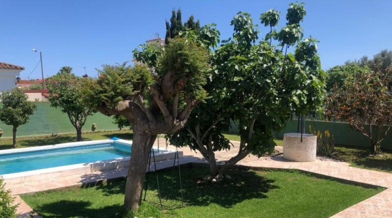 Castellón - Castellón de la Plana - 1080m2