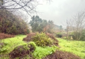 Detached villa with land for sale on España, Ourense, ref: TR399430 photo