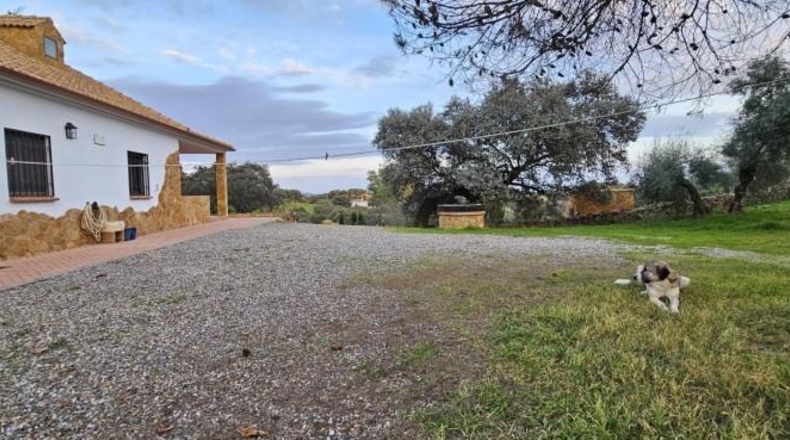 Córdoba - Villaharta - 29480m2