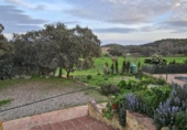 Casa de camp amb terreny en venda a la España, Oria, ref.: TR398231 foto