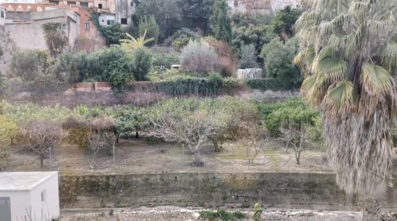 Alicante - Elche - 322m2