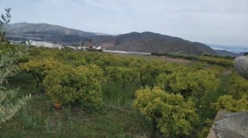 Сарагоса - Borja - 9100m2