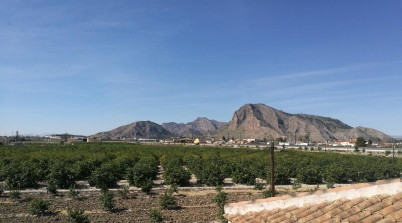 Alicante - Oriola - 2500m2