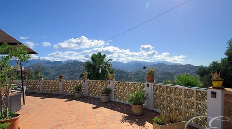Málaga - Sayalonga - 3655m2
