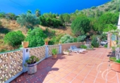 Casa de camp amb terreny en venda a la España, Sayalonga, ref.: TR385274 foto