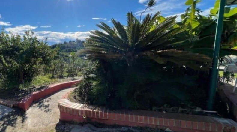 Málaga - Estepona - 4200m2