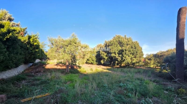 Tarragona - Castellvell del Camp - 1644m2