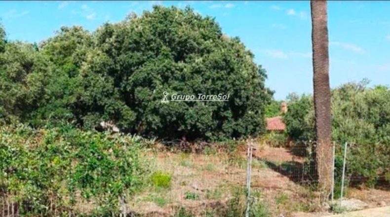Tarragona - Castellvell del Camp - 1644m2
