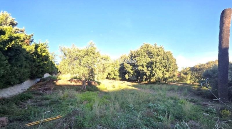 Tarragona - Castellvell del Camp - 1644m2