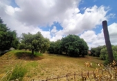 Sòl urbà en venda a la España, Castellvell del Camp, ref.: TR383879 foto