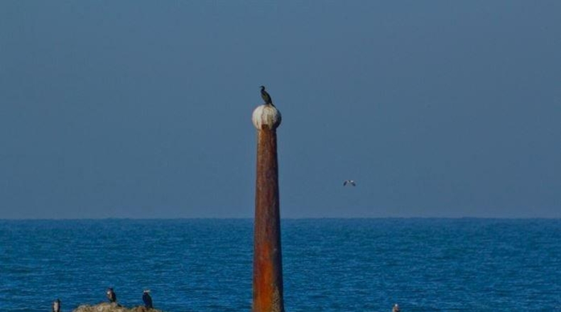 Valencia - Cullera - 227m2
