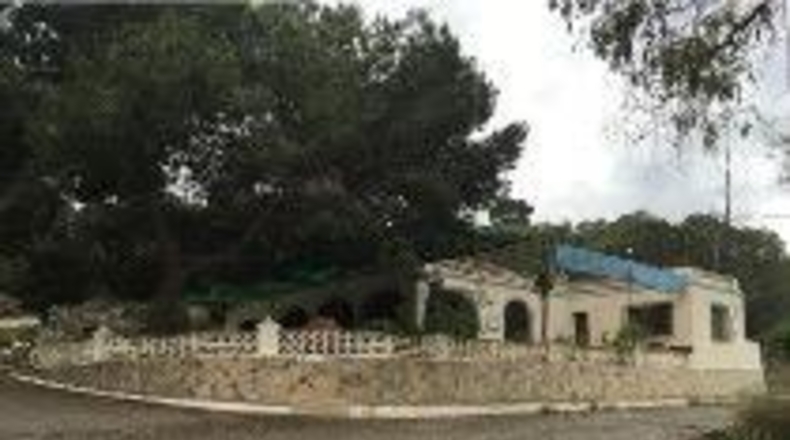 Alicante - Oriola - 12000m2