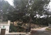 House with land for sale on España, Orihuela, ref: TR399753 photo