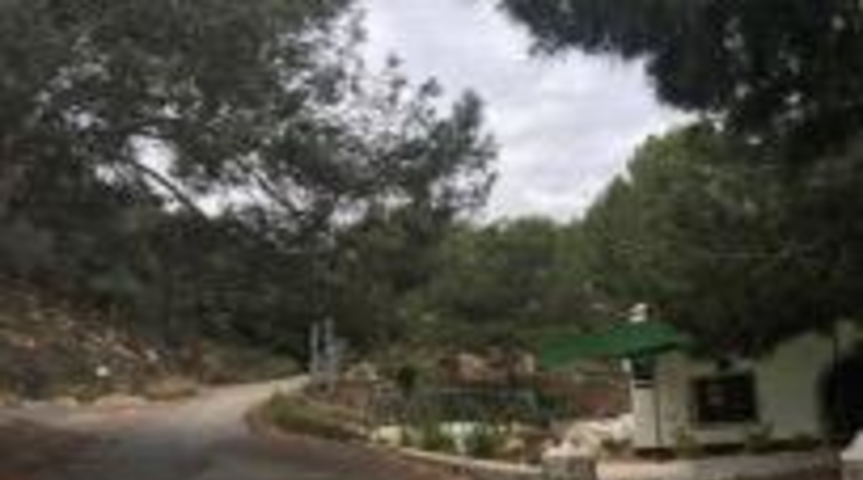 Alicante - Oriola - 12000m2