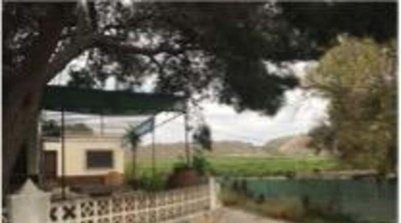 Alicante - Oriola - 12000m2