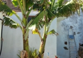 Отдельно стоящий дом с участком на продажу в городе Agüimes Фото