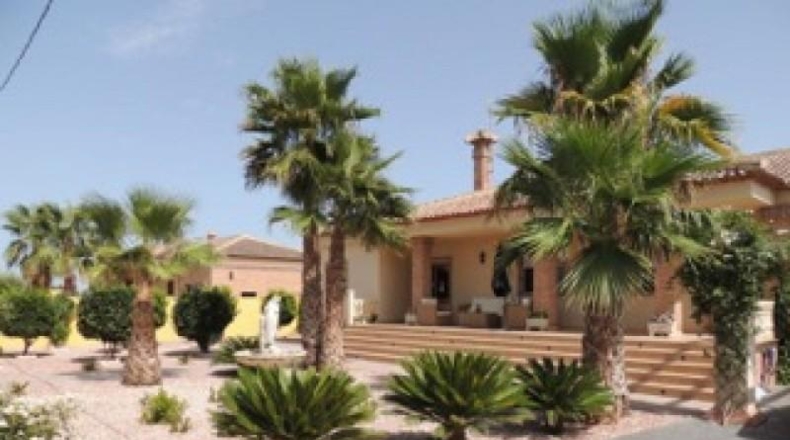 Alicante - Catral - 2000m2
