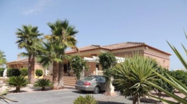 Alicante - Catral - 2000m2