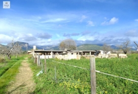 Binissalem 22950&nbsp;м²
