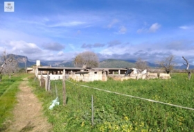 Binissalem 22950&nbsp;м²