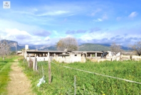 Binissalem 22950&nbsp;м²