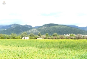 Binissalem 22950&nbsp;м²