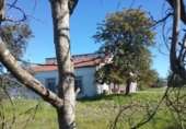 Detached villa with land for sale on España, Badajoz, ref: TR399918 photo