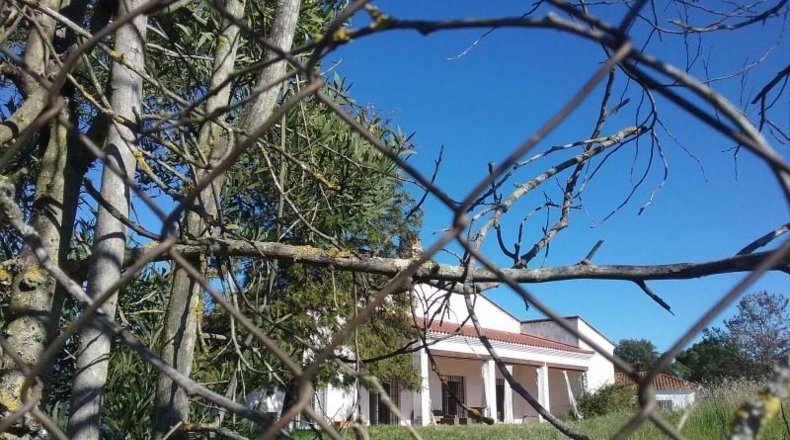Badajoz - Badajoz - 18000m2