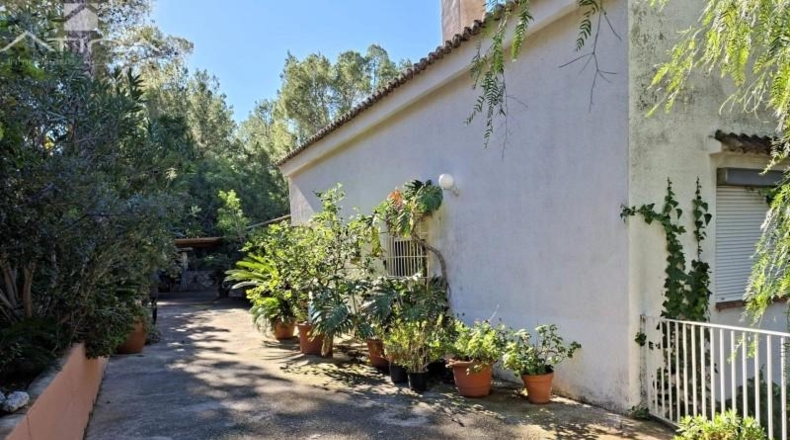Сарагоса - María de Huerva - 1300m2