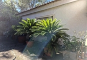 Detached villa with land for sale on España, Gandia, ref: TR398889 photo