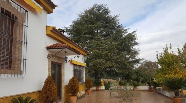 Jaén - Andújar - 66000m2