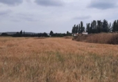Parcela urbanizable en venta en la España, Humanes, ref: TR396760 foto