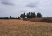Parcela urbanizable en venta en la España, Humanes, ref: TR396760 foto