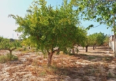 Chalet independiente con terreno en venta en la España, Alicante, ref: TR398740 foto