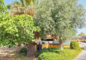 Chalet independiente con terreno en venta en la España, Alicante, ref: TR398740 foto