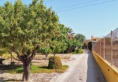 Chalet independiente con terreno en venta en la España, Alicante, ref: TR398740 foto