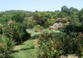 Chalet independiente con terreno en venta en la España, Medina de Pomar, ref: TR406354 foto