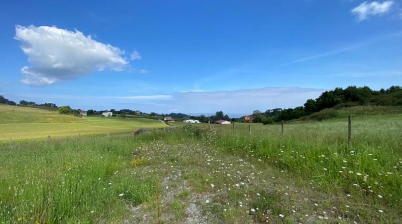 Burgos - La Revilla - 4138m2