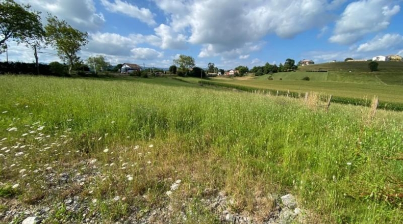 Burgos - La Revilla - 4138m2