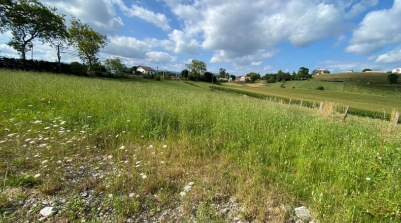 Burgos - La Revilla - 4138m2