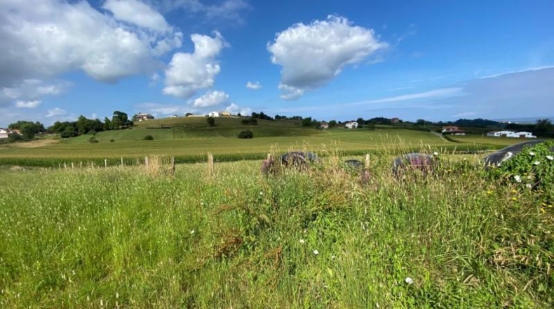 Burgos - La Revilla - 4138m2