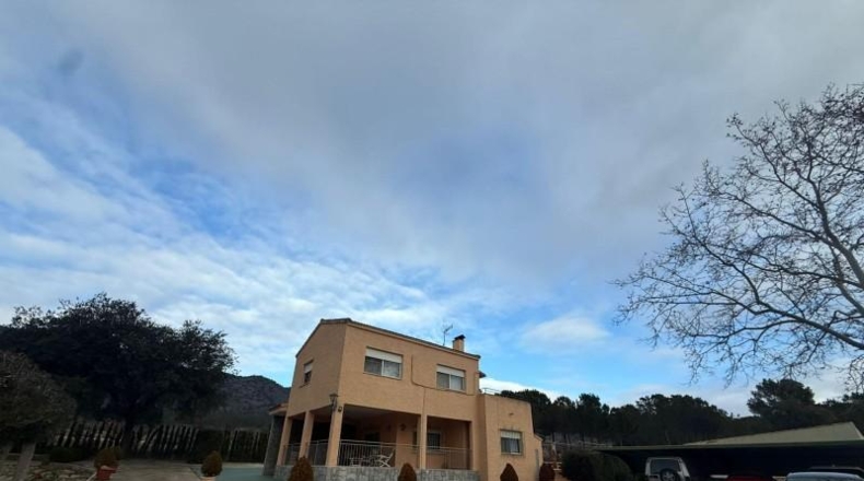 Alicante - Dolores - 470000m2