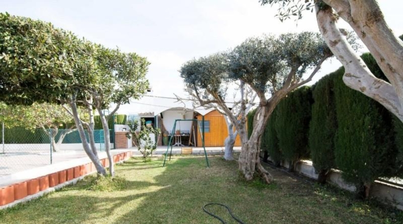 Alicante - Rafal - 4000m2