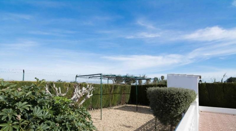 Alicante - Rafal - 4000m2