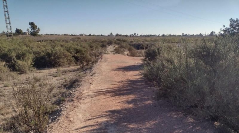 Alicante - Elche - 16000m2