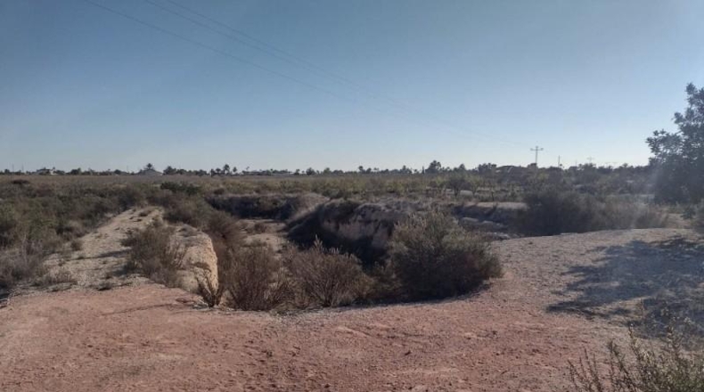 Alicante - Elche - 16000m2