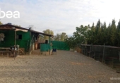 Casa de camp amb terreny en venda a la España, Cártama, ref.: TR400032 foto